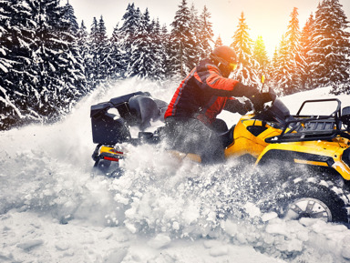 Туры на самых быстрых квадроциклах по живописным местам Сочи – индивидуальная экскурсия