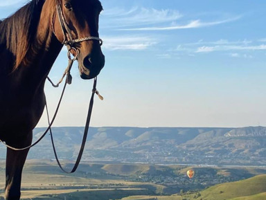 Конная прогулка недалеко от Кисловодска  – групповая экскурсия