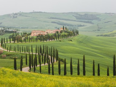 Та самая Тоскана: вино в замке Кьянти и пейзажи – индивидуальная экскурсия