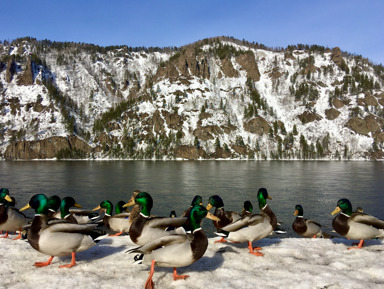 Красноярск, Дивногорск, ГЭС и Восточные Столбы за один день – индивидуальная экскурсия