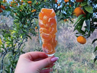 Рицинский экспресс: Гагра, озеро Рица и Пицунда! – групповая экскурсия