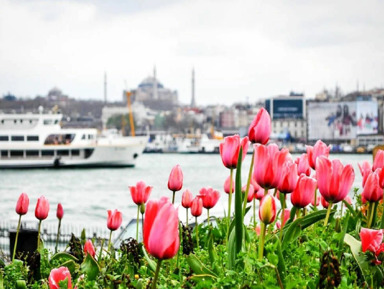 Фестиваль тюльпанов в Стамбуле  – групповая экскурсия