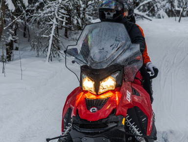 Зимняя сказка в Москве: Прогулка на снегоходах  – индивидуальная экскурсия