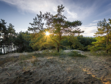 Тропы, пляжи и поселки Куршской косы и Зеленоградск в минигруппе – групповая экскурсия