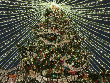 Новый год и Рождество: от Коляды до кремлёвской ёлки! (в мини-группе) – групповая экскурсия