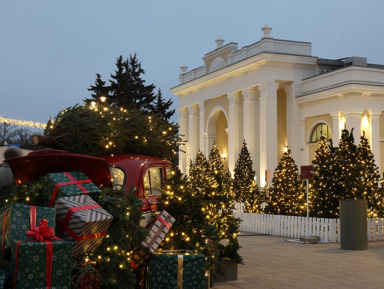 Новогодняя автобусно-пешеходная обзорная экскурсия по Рязани