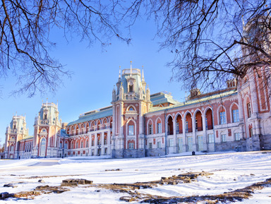 Царицыно: дворцовые истории Екатерины Великой – индивидуальная экскурсия