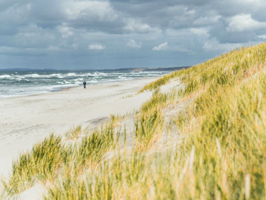 Куршская коса, Зеленоградск и замок Нессельбек в небольшой группе – групповая экскурсия