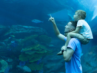 Аквариум «Флория» — посетите один из самых больших аквариумов в Европе  – групповая экскурсия