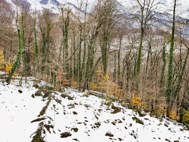 Хайкинг в Красной поляне - красота горного поселка круглый год – индивидуальная экскурсия
