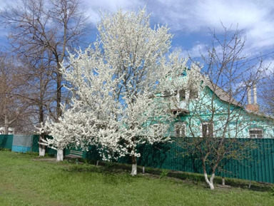 Куршская коса и немецкий форт – групповая экскурсия