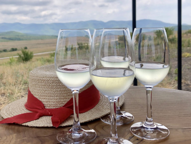 Индивидуальный тур по винодельням Краснодарского края – индивидуальная экскурсия