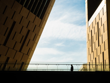 Каир – Большой Египетский музей и пирамиды Гизы – индивидуальная экскурсия