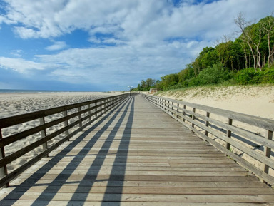 Куршская коса и уютные курорты: Зеленоградск, Светлогорск, Янтарный – индивидуальная экскурсия