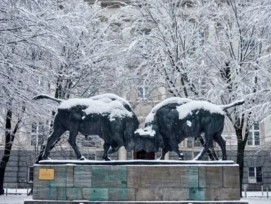 Весь Калининград за 3 часа в мини-группе – групповая экскурсия