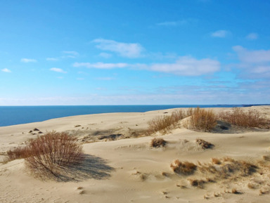 Куршская коса. Природа и история – индивидуальная экскурсия