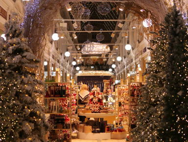 Путешествие Щелкунчика по Петербургу: рождественская прогулка – групповая экскурсия