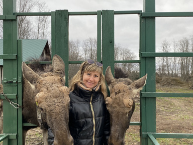 Путешествие на лосеферму из Костромы на автомобиле гида – индивидуальная экскурсия