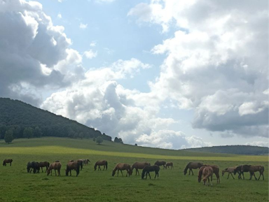 По живописным местам Башкортостана – индивидуальная экскурсия
