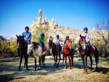 Прогулка на лошадях  – индивидуальная экскурсия