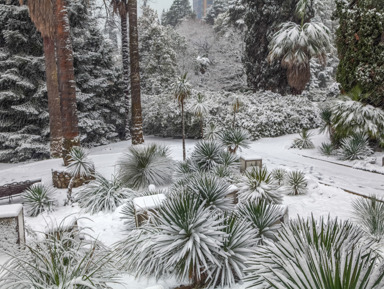 Расширенная обзорная экскурсия по городу Сочи