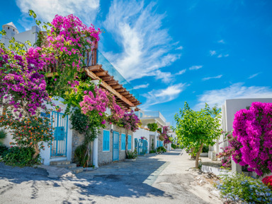 Индивидуальная пешеходная экскурсия в Бодрум максимум впечатлений за 5 ч