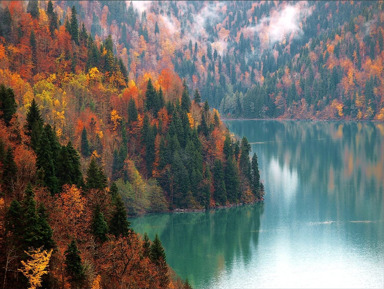 Сокровище Апсны: VIP-тур по Золотому кольцу Абхазии +мандариновый сад🍊 – групповая экскурсия