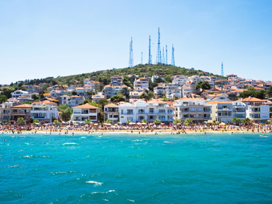 Бюджетный тур по Принцевым островам – групповая экскурсия