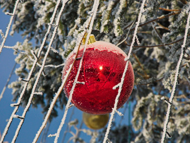 Новогодняя программа «Гостеприимная Абхазия» – групповая экскурсия