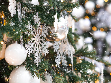 Новогодняя экскурсия: От могучего Енисея до Триумфальной арки