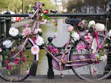 Амстердам — велосипедная столица Европы – индивидуальная экскурсия