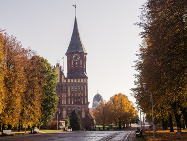 Из Зеленоградска в Калининград: ТОП-15 мест за 3 часа – групповая экскурсия