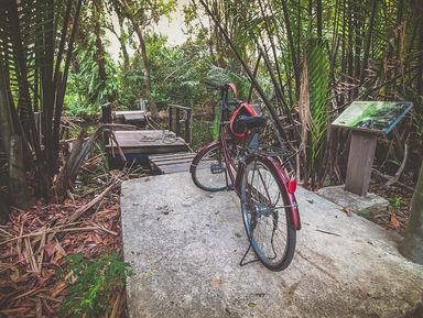 Велотур по джунглям Банг Крачао – индивидуальная экскурсия