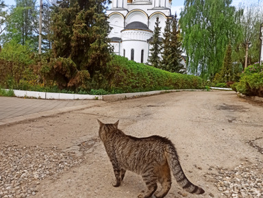 Прогулка по старинному городу Переславлю – индивидуальная экскурсия