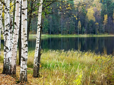 Светлояр. В поисках Китеж-града – индивидуальная экскурсия