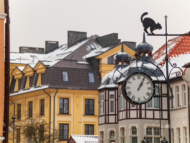 Зеленоградск и Куршская коса – индивидуальная экскурсия