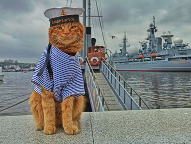 «По страницам истории»: обзорная по Владивостоку с подъемом на фуникулере – групповая экскурсия