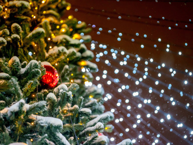 Секреты новогодней Йошкар-Олы – индивидуальная экскурсия