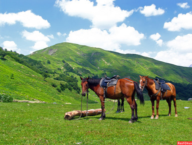Конные прогулки, Бархан Сарыкум, «Динопарк» – индивидуальная экскурсия