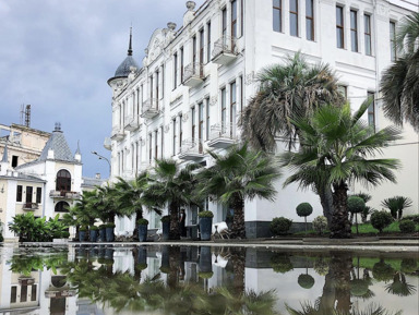 Восточная Абхазия: Сухум, термальный источник Кындыг и мандариновый сад🍊 – групповая экскурсия