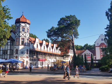 Янтарный берег из Зеленоградска: посёлок Янтарный и город Светлогорск – групповая экскурсия