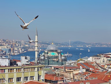Стамбул: самое главное за 5 часов – групповая экскурсия