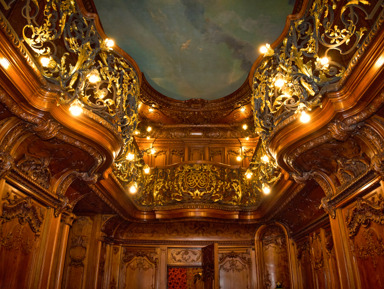 Особняк Половцова: парадные залы за закрытой дверью – групповая экскурсия