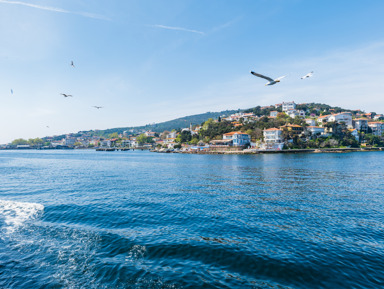 Жемчужины Мраморного моря: путешествие на Принцевы острова – групповая экскурсия