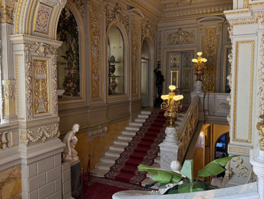 Владимирский дворец (Дом учёных им. М. Горького) – групповая экскурсия