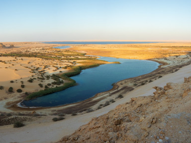 Оазис Эль-Файюм и Долина китов – индивидуальная экскурсия