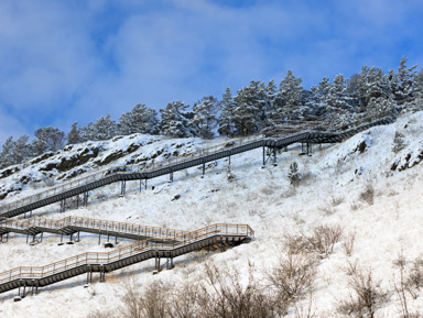 Групповая экскурсия на Торгашинский хребет по самой длинной лестнице России