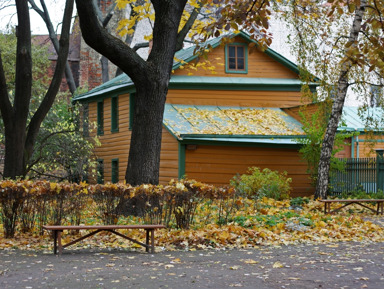Три века, девятнадцать зим: Хамовники — Музей-усадьба Льва Толстого – групповая экскурсия