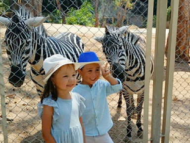 Зоопарк в Анталье – индивидуальная экскурсия