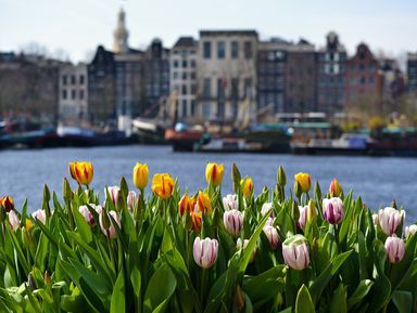 Амстердам пешком и на кораблике! – групповая экскурсия